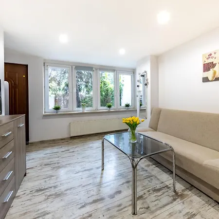 Apartament Studio Apartment